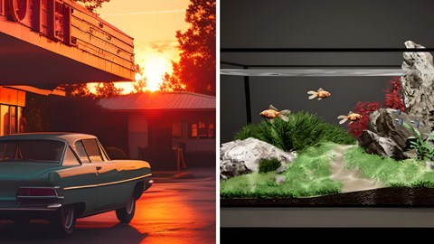 Sunset Aquarium Bundle Sunset Aquarium Bundle