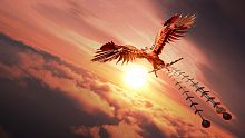 How We Soar