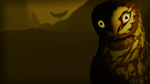 Birds Watching