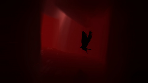 Rise of Insanity