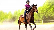 My Little Riding Champion