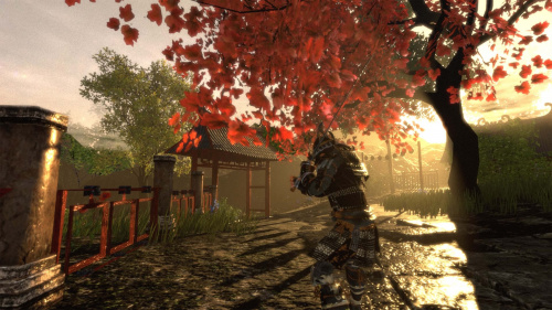 Shadow the Ronin: The Revenge to the Samurai Shadow the Ronin: The Revenge to the Samurai