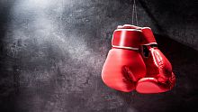 Boxer