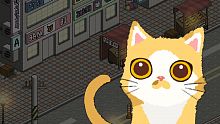 A Street Cat's Tale