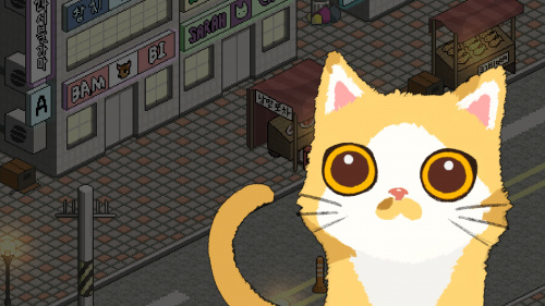 A Street Cat's Tale A Street Cat's Tale