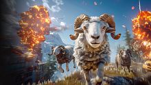 Ram Simulator