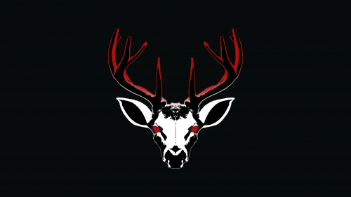 Project 13: Taxidermy Trails