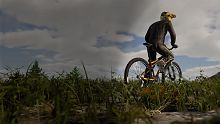 BMX Wild Run