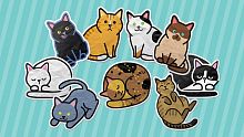 Sudocats