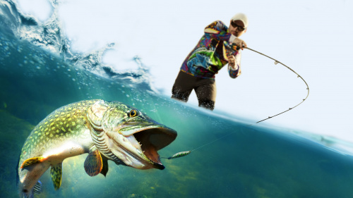 Pro Fishing Simulator Pro Fishing Simulator