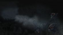 Eternum Ex