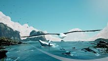 Toroa: Skycall