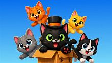 Cat in the Box (Xbox Series)