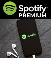 Spotify Premium Individual 1 месяц (Продление подписки)