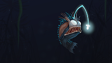 AquaDream