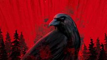Project Songbird