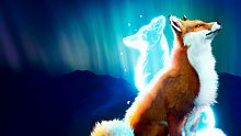 Spirit of the North