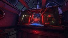 Bearly Armed VR