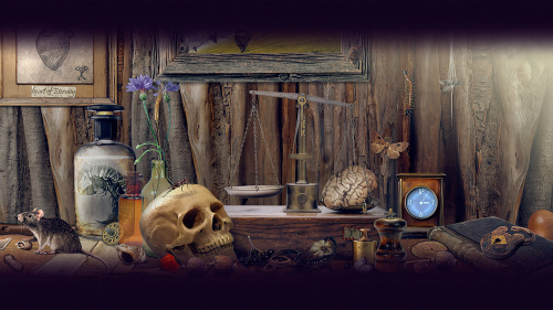 Time Trap: Hidden Objects Time Trap: Hidden Objects