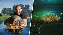 Fishing Sim World: Pro Tour + The Catch: Carp & Coarse