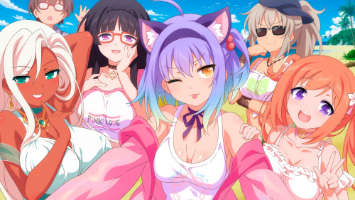 Sakura Succubus 4 PS4 & PS5