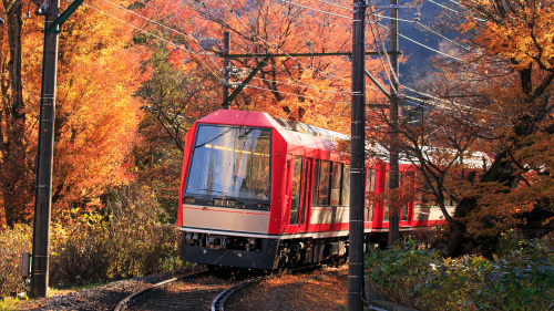 Japanese Rail Sim: Hakone Town of Natural Beauty and Hot Springs