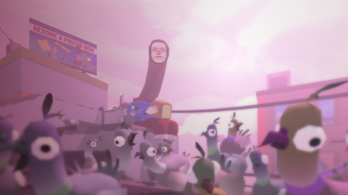 VR Pigeons
