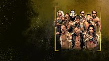 AEW: Fight Forever Elite Edition