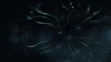 SOMA
