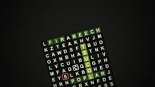 1-2-Fantastic Word Search!