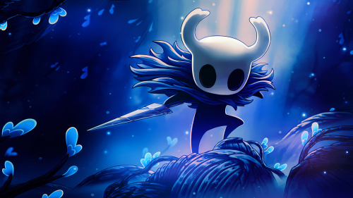 Hollow Knight Voidheart Edition