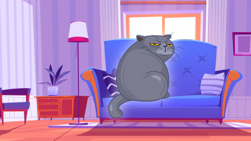 Cat Fun Cat Fun