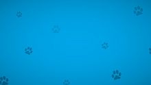 Dogs And Paws