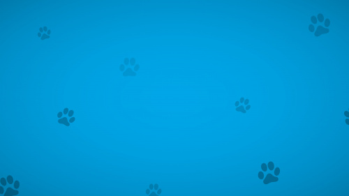 Dogs And Paws