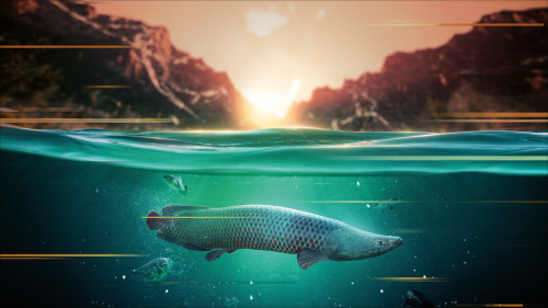 The Catch: Carp & Coarse - Deluxe Edition