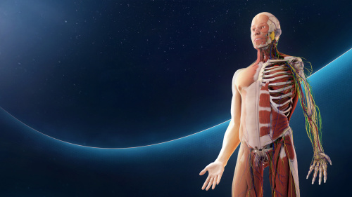 Human Anatomy VR Human Anatomy VR