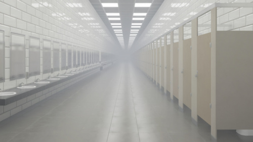 THE BATHROOMS