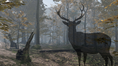 Pro Deer Hunting 2