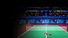 VR Ping Pong Pro
