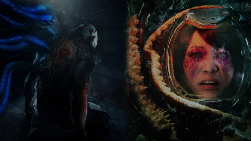 Stasis Bundle