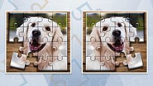 Jigsaw Puzzle Fever