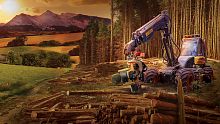 Forestry 2017 - The Simulation