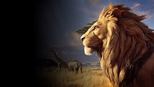 Lion Simulator RPG: Animal Battle Survival