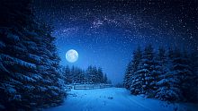 Puzzle Vacations: Christmas