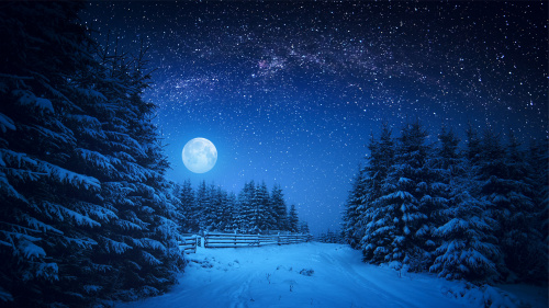 Puzzle Vacations: Christmas Puzzle Vacations: Christmas