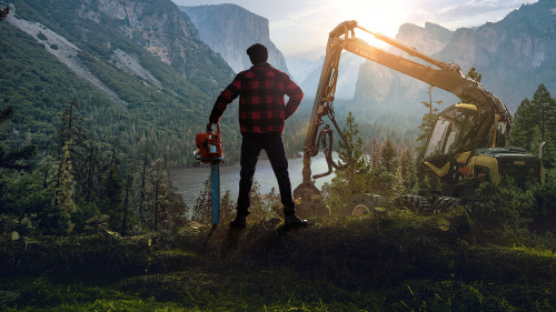 Lumberjack's Dynasty