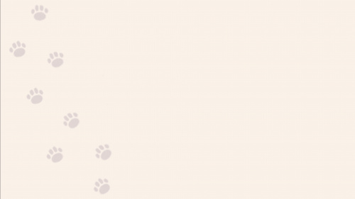 Aabs Animals Aabs Animals