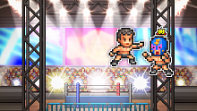 Pro Wrestler Story