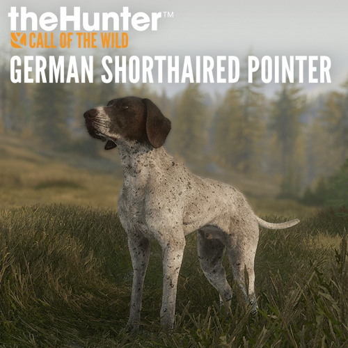 theHunter: Call of the Wild™ - German Shorthaired Pointer
