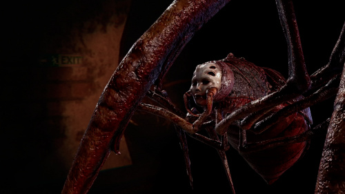 Zooparasite PS4® & PS5®